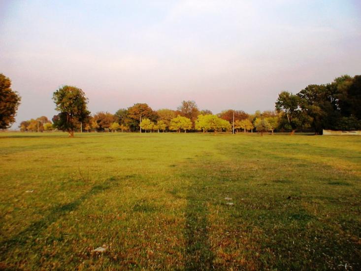 Роздольне з panoramio.com - Раздольное