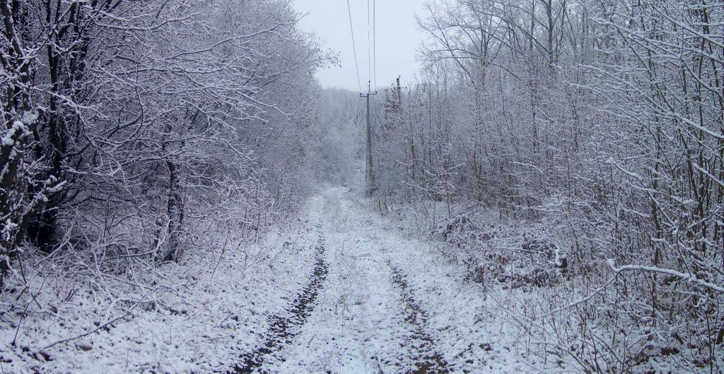 Бабаї з panoramio.com - Бабаи