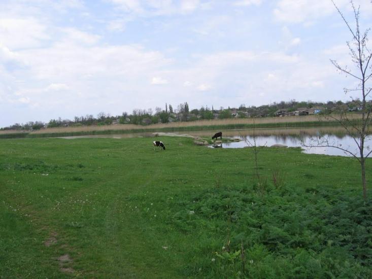 Арбузинка з panoramio.com - Арбузинка