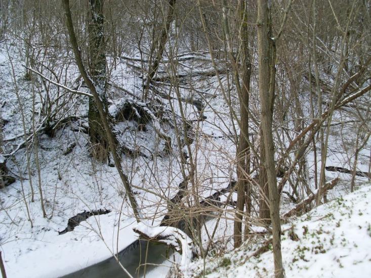 Кузнецове з panoramio.com - Кузнецово
