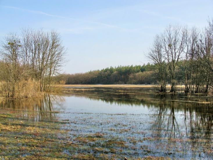 Булахівка з panoramio.com - Булаховка