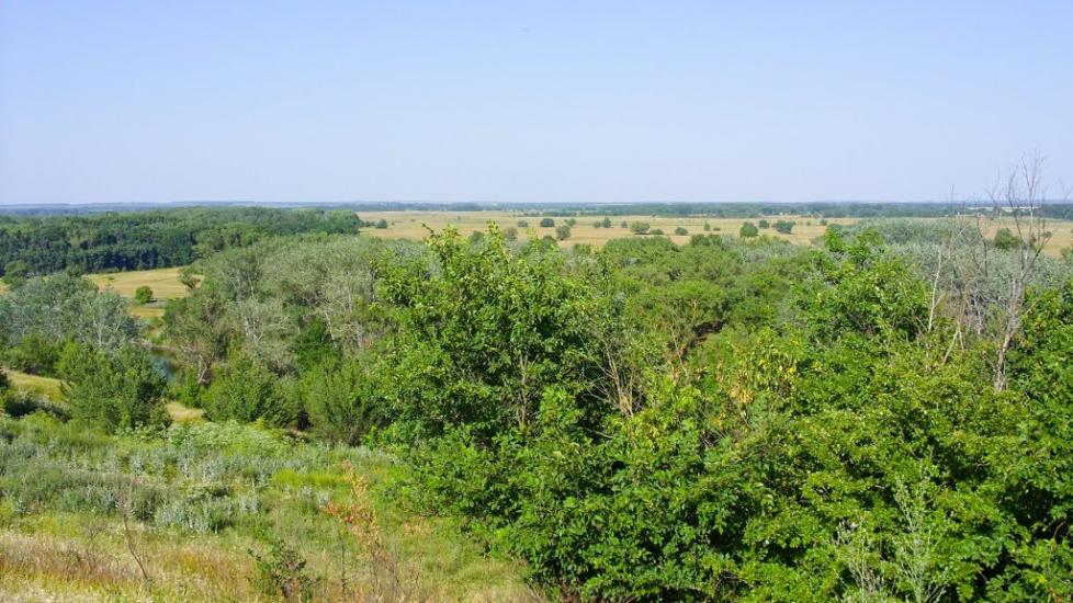 Плавні з panoramio.com - Plavni