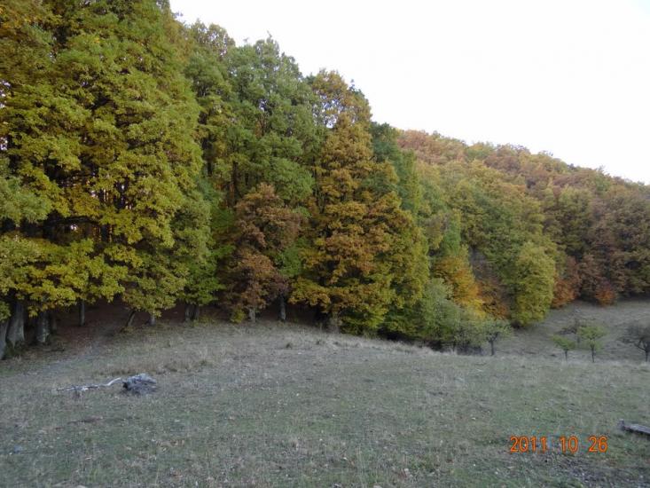 Біла Церква з panoramio.com - Біла Церква
