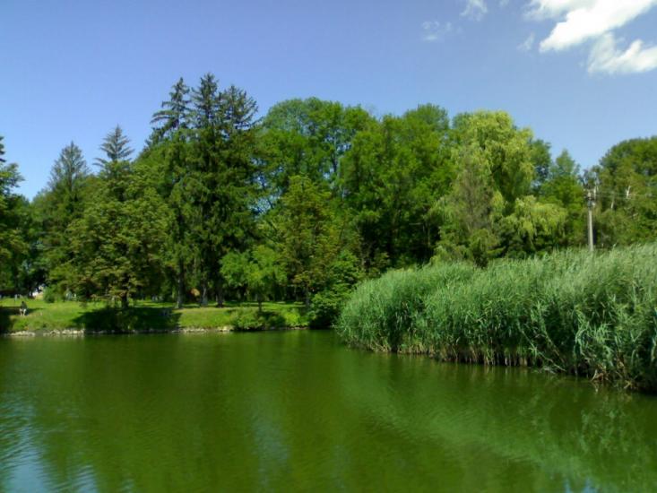 Брусниця з panoramio.com - Брусниця