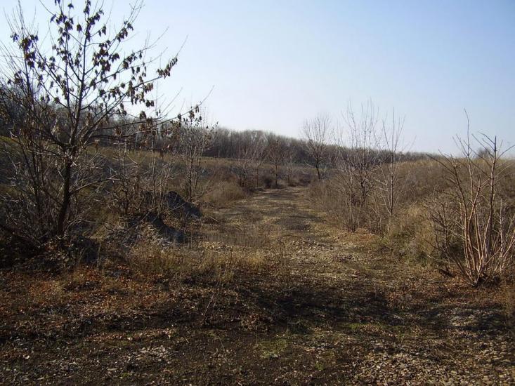 Весняне з panoramio.com - Весняное