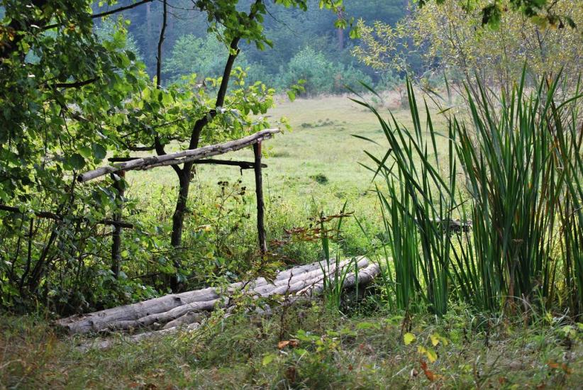 Дерно з panoramio.com - Дерно