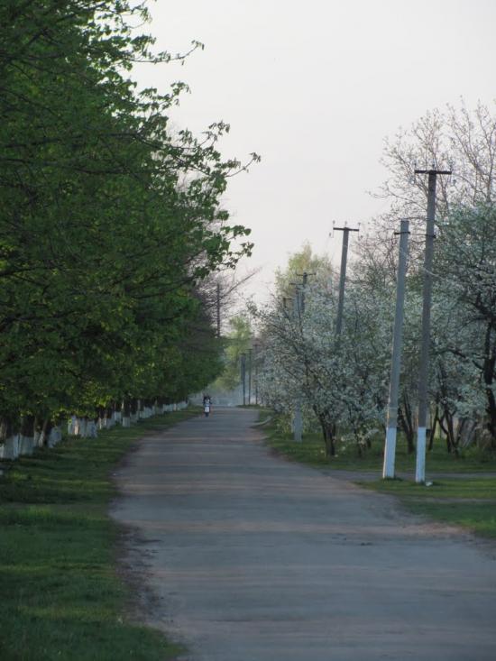 Подорожнє з panoramio.com - Подорожнє