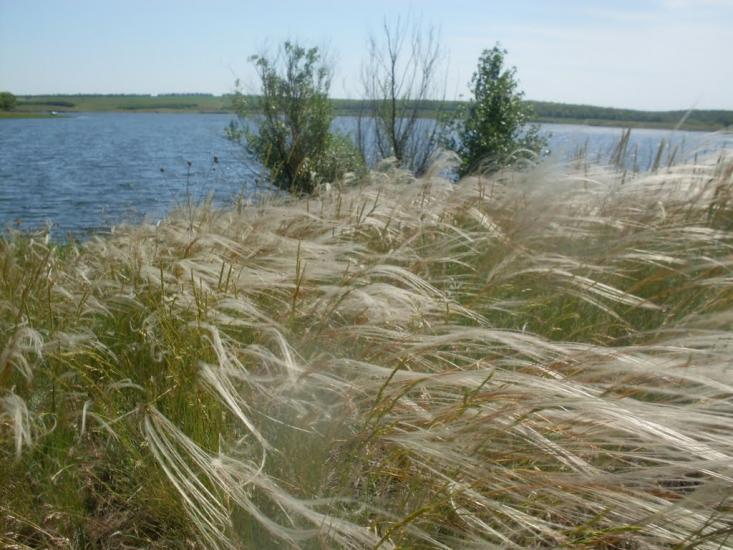 Павлопіль з panoramio.com - Павлополь