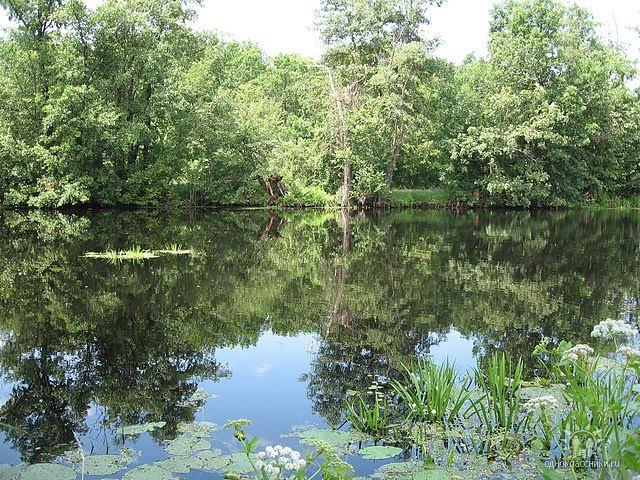 Кунцеве з panoramio.com - Кунцеве