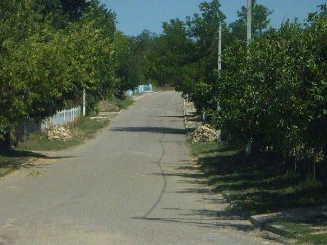 Міняйлівка з panoramio.com - Міняйлівка