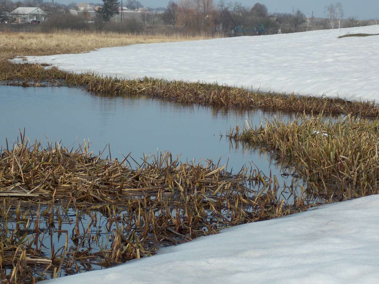 Щенятинський пейзаж - Щенятин