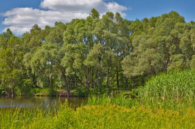 Першотравневе з panoramio.com - Першотравневе