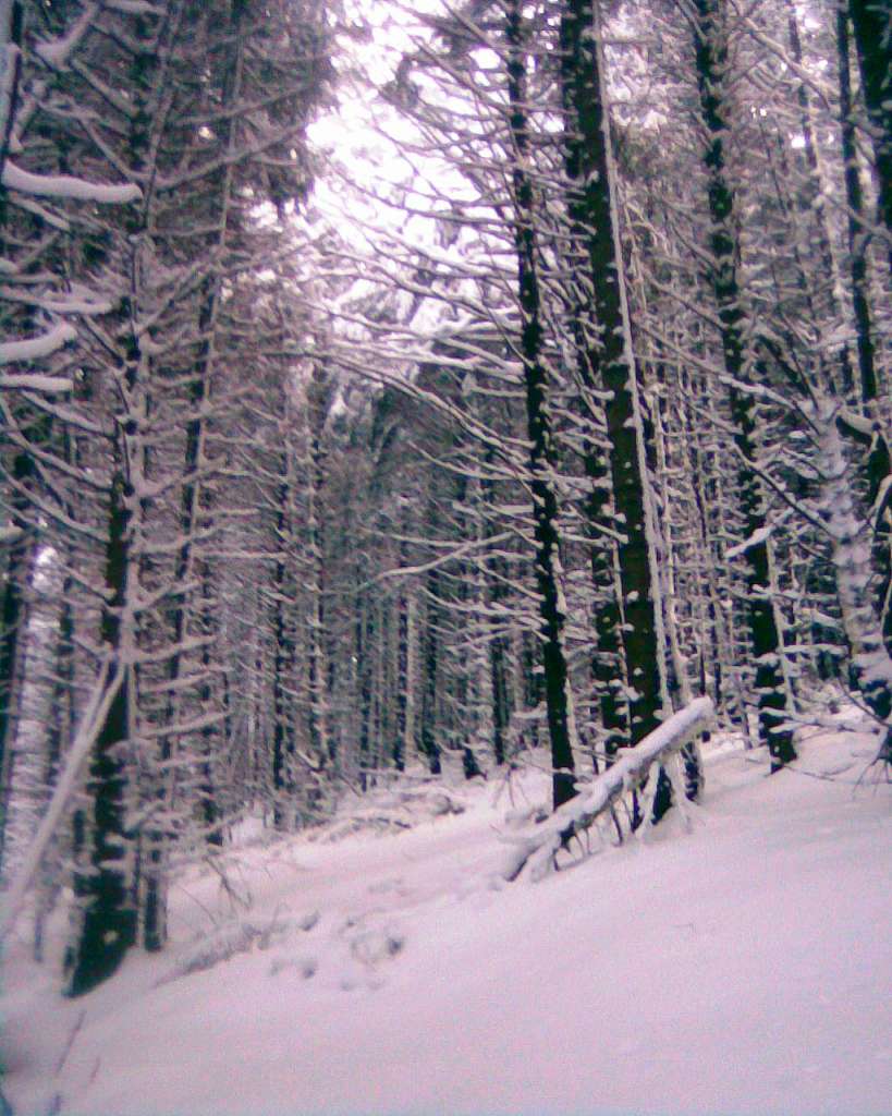 Кіндратів - Кондратов