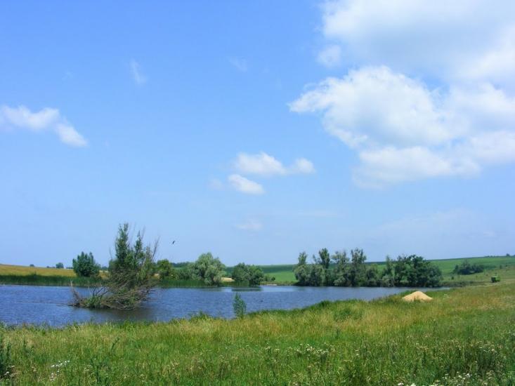 Вороне з panoramio.com - Вороне