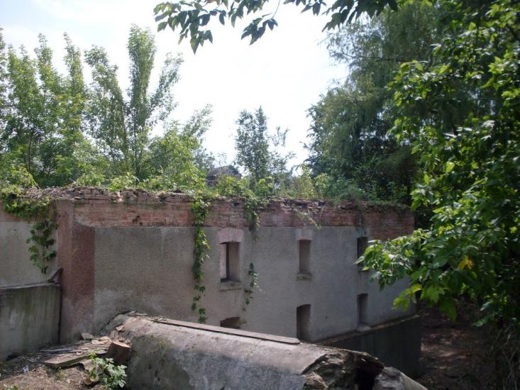 Куна з panoramio.com - Куна