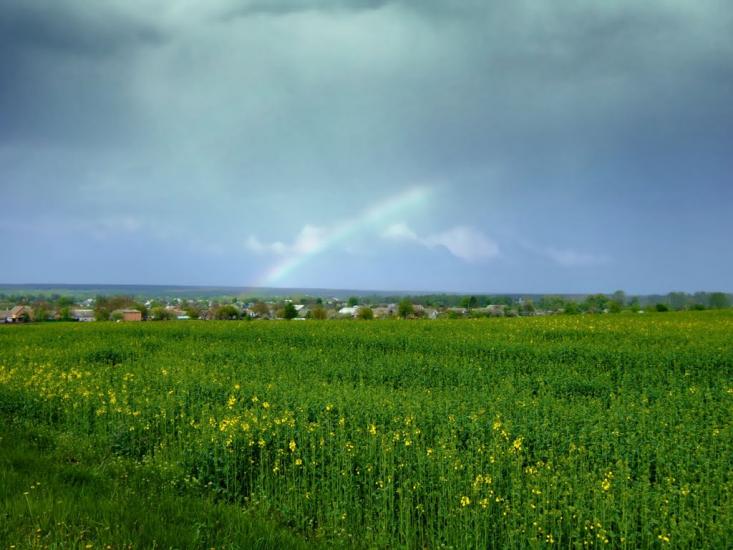 Острів з panoramio.com - Острів