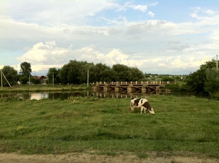 Мазурівка з panoramio.com - Мазурівка