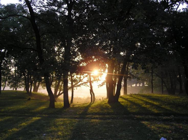Підлісне з panoramio.com - Підлісне