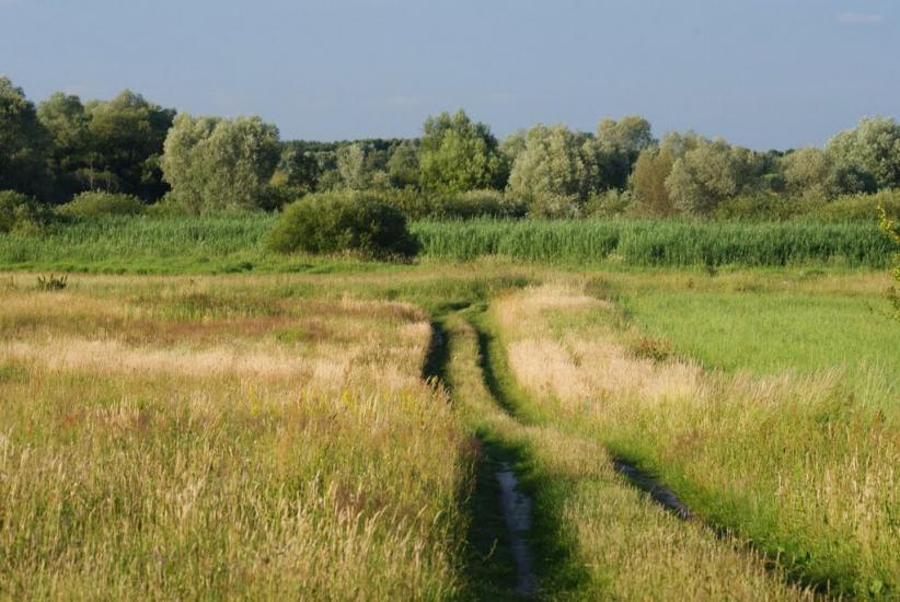 Вишнівка з panoramio.com - Вишнівка