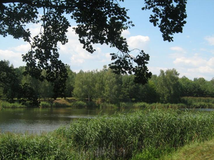 Ровжі з panoramio.com - Ровжи