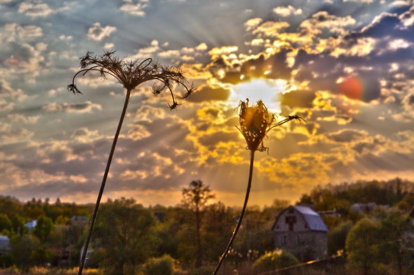 Першотравневе з panoramio.com - Першотравневе
