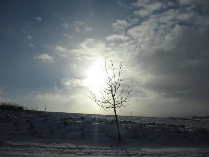 Біла з panoramio.com - Біла
