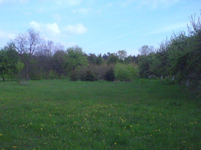 Шкло з panoramio.com - Shklo