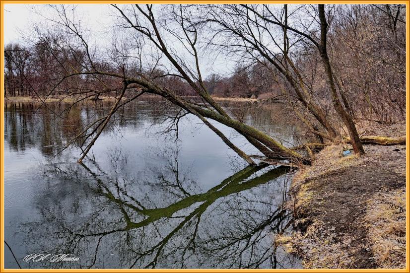 Привілля з panoramio.com - Приволье