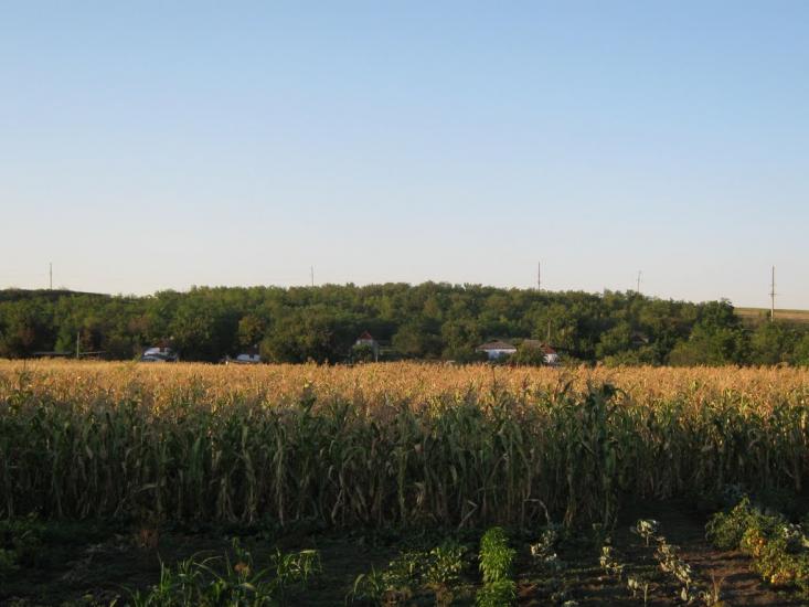 Демидове з panoramio.com - Демидове