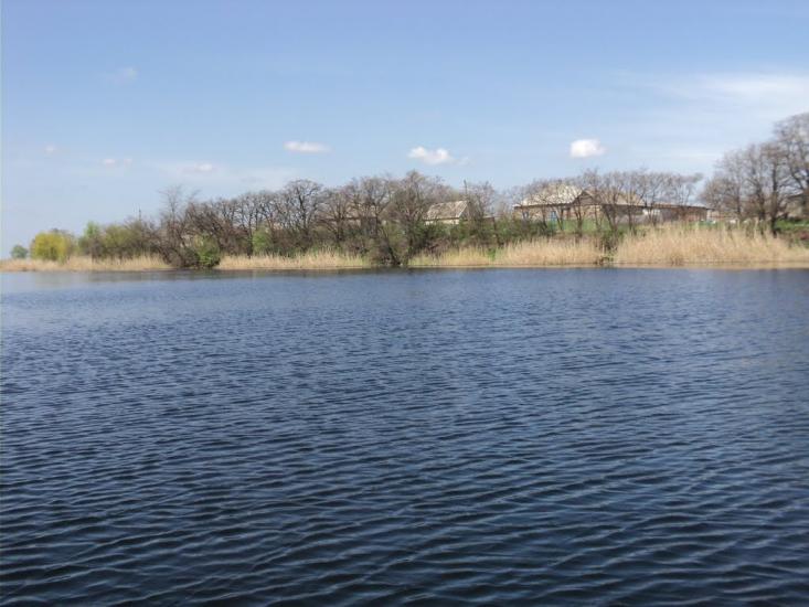 Комар з panoramio.com - Комар