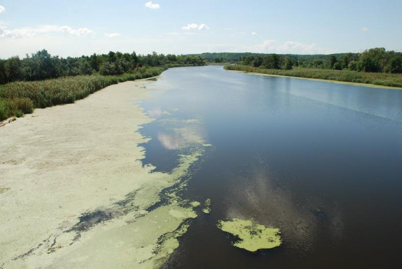 Вільховатка з panoramio.com - Вільховатка