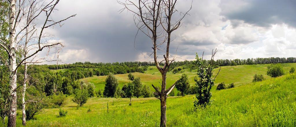 Вільшани з panoramio.com - Ольшаны