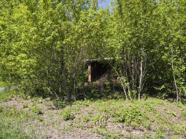 Дитятки з panoramio.com - Дитятки