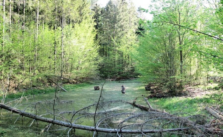 Бахматівці з panoramio.com - Бахматівці