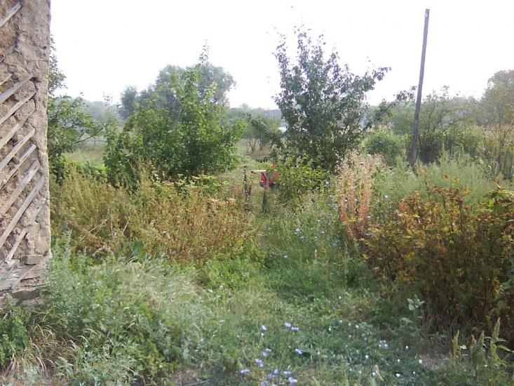 Новоайдар з panoramio.com - Новоайдар