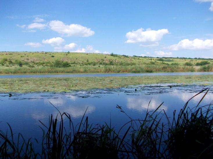 Львів з panoramio.com - Львів