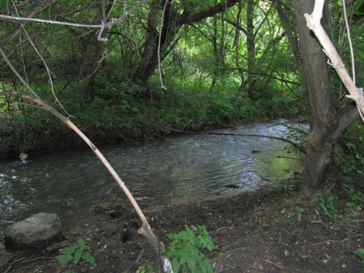 Шершенці з panoramio.com - Шершенці