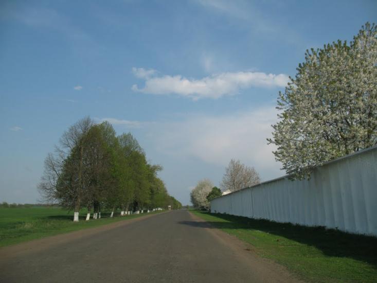 Велика Севастянівка з panoramio.com - Великая Севастьяновка
