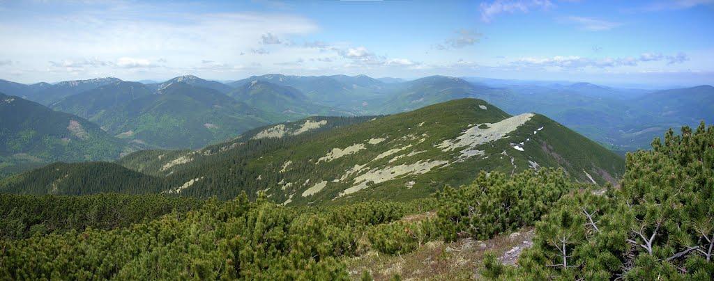 Осмолода з panoramio.com (ч.2) - Осмолода