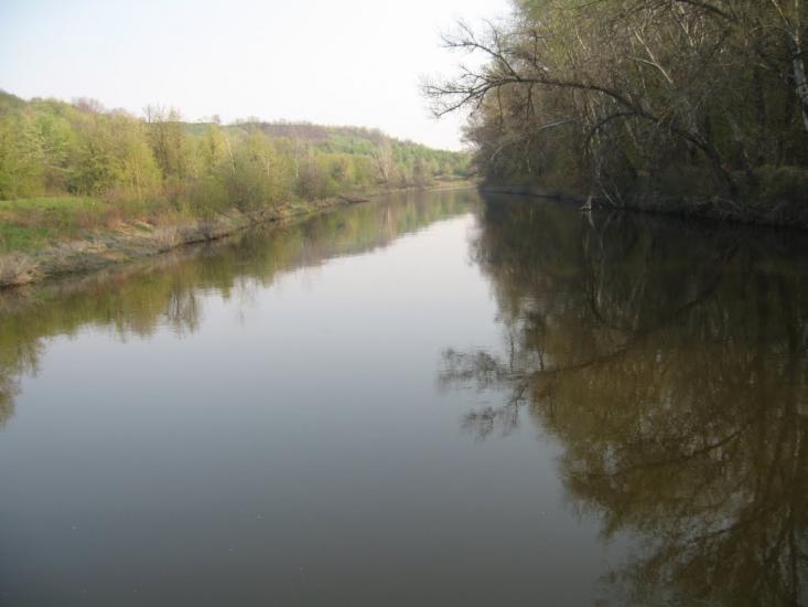 Плавні з panoramio.com - Плавні