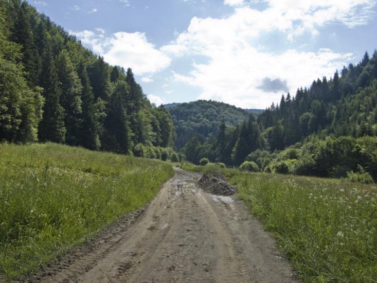 Стара Красношора з panoramio.com - Stara Krasnoshora