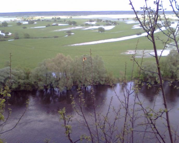Свердловка з panoramio.com - Свердловка