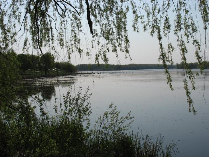 Іллінці з panoramio.com - Illintsi