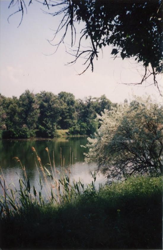 Марганець з panoramio.com - Marganets