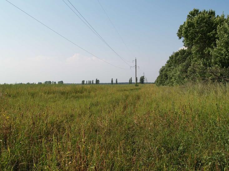 Кустівці з panoramio.com - Кустівці