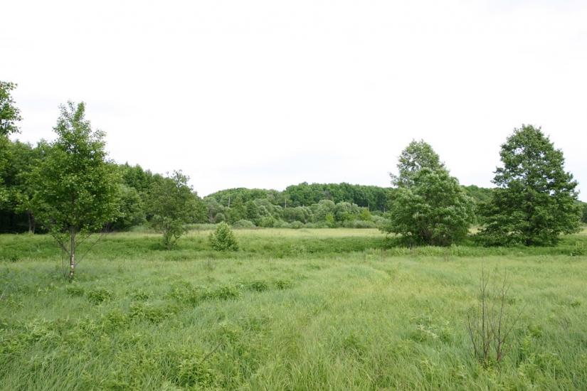 Гребінка з panoramio.com - Гребінка