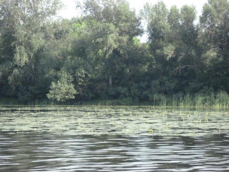 Потоки з panoramio.com - Потоки