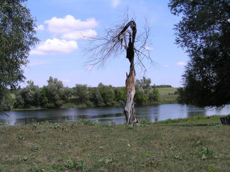 Дубинове з panoramio.com - Дубинове