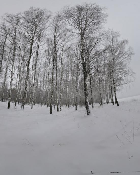 Котельва з panoramio.com - Котельва