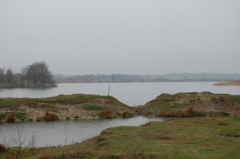 Комарове з panoramio.com - Комарово